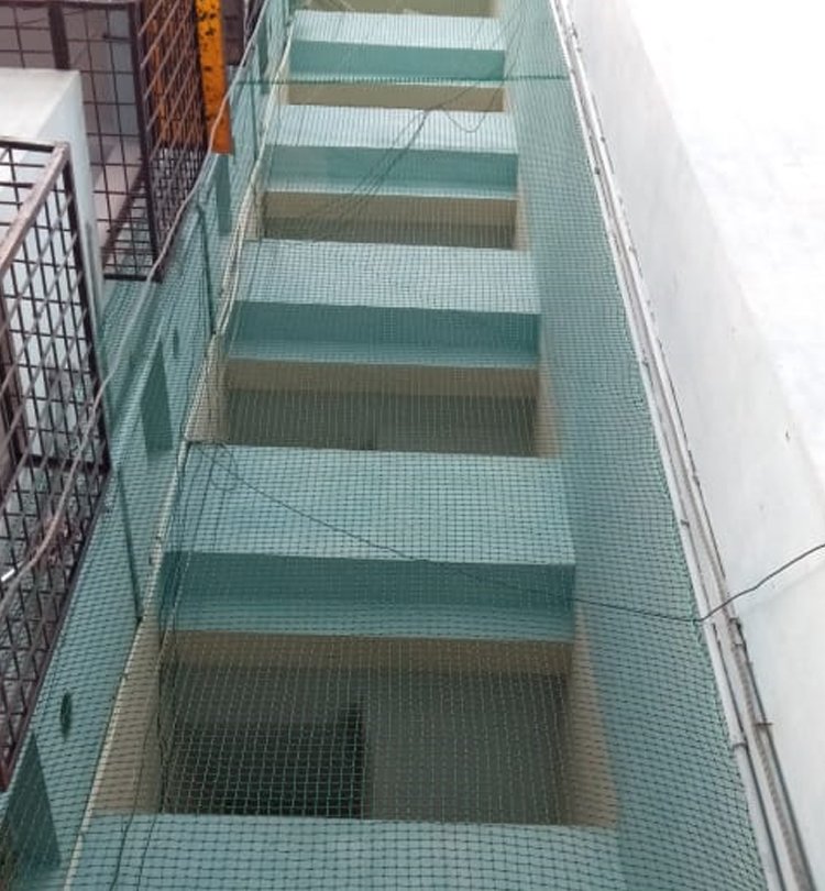 Duct Area Nets