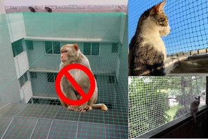 Monkey Safety Nets